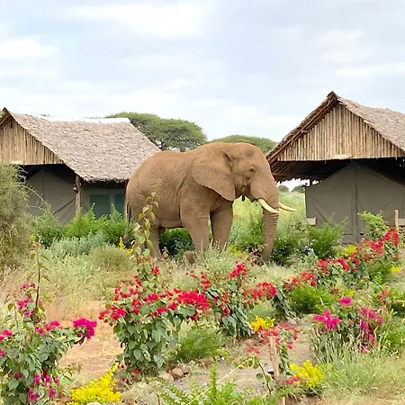 Amboseli Discovery Camp Exterior photo