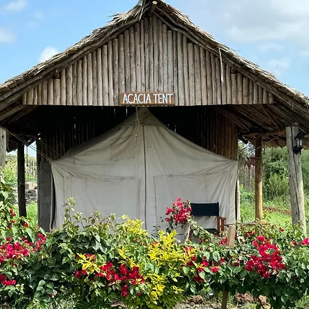 Amboseli Discovery Camp Exterior photo