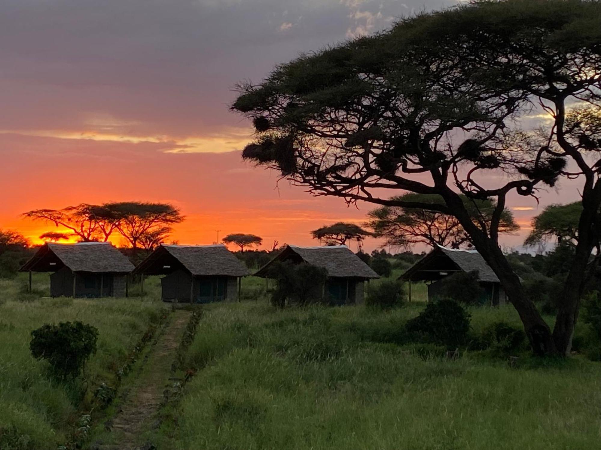 Discovery Camp * Amboseli