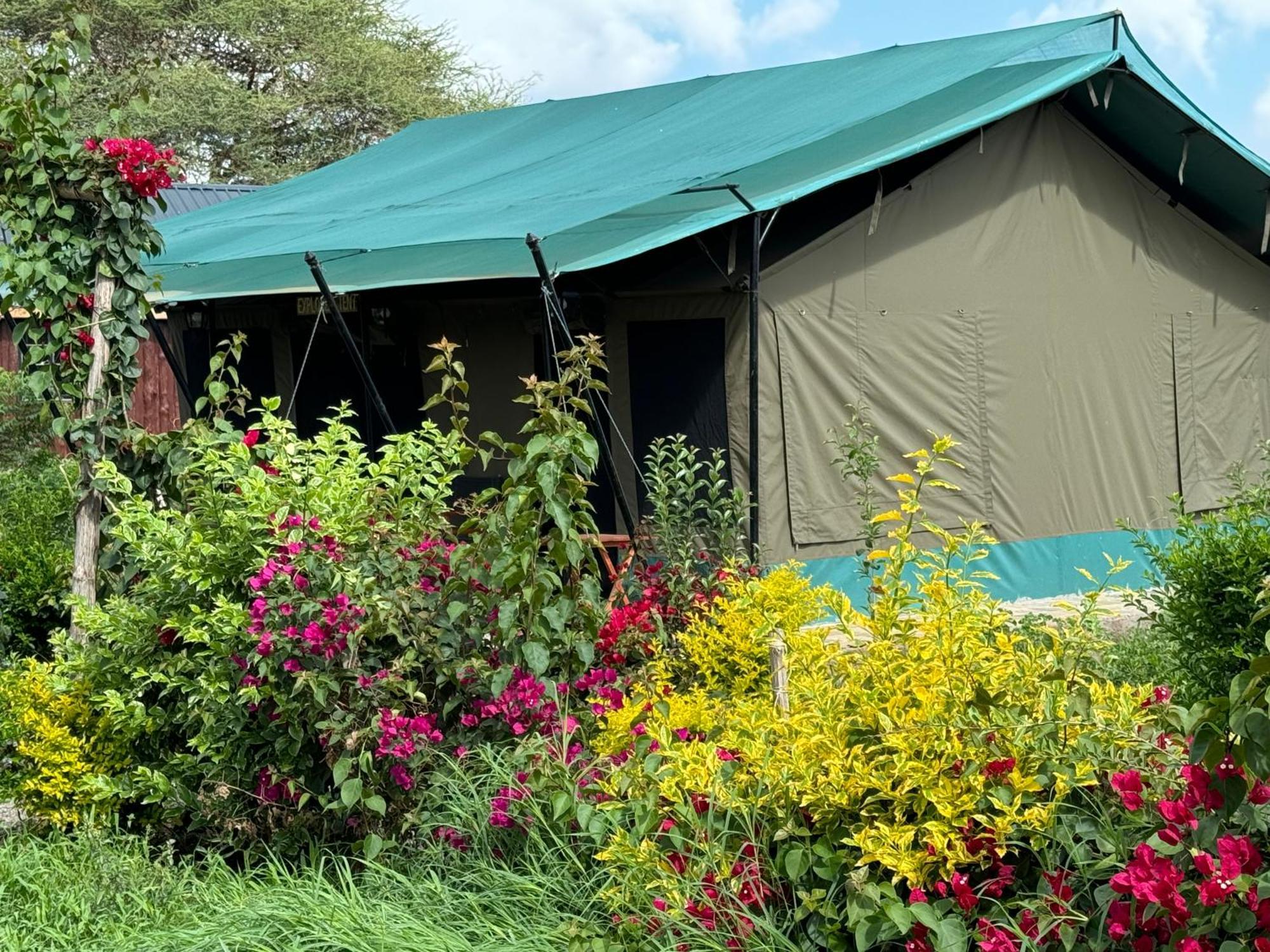 Discovery Camp Luxury tent