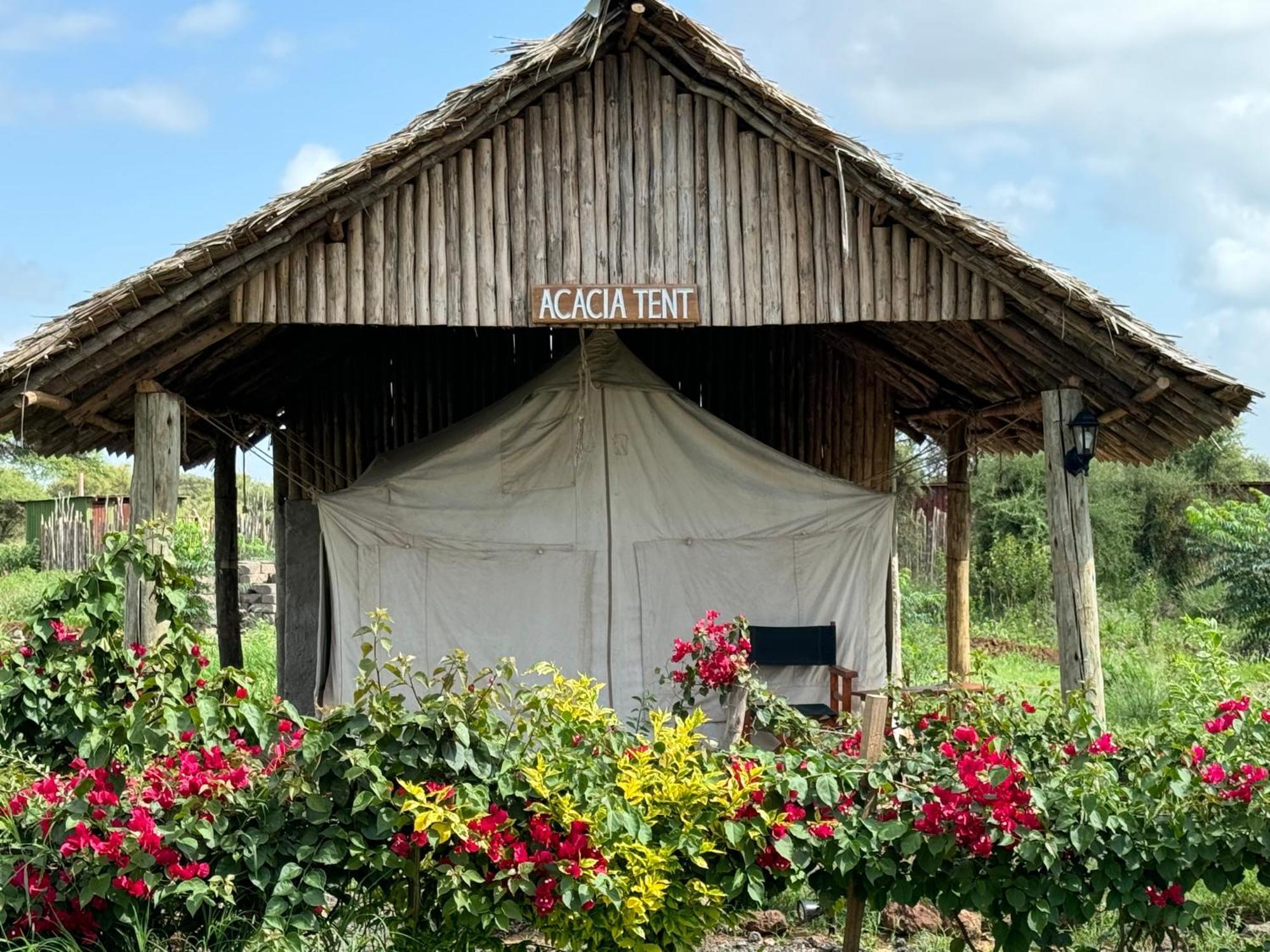 Luxury tent Discovery Camp Amboseli