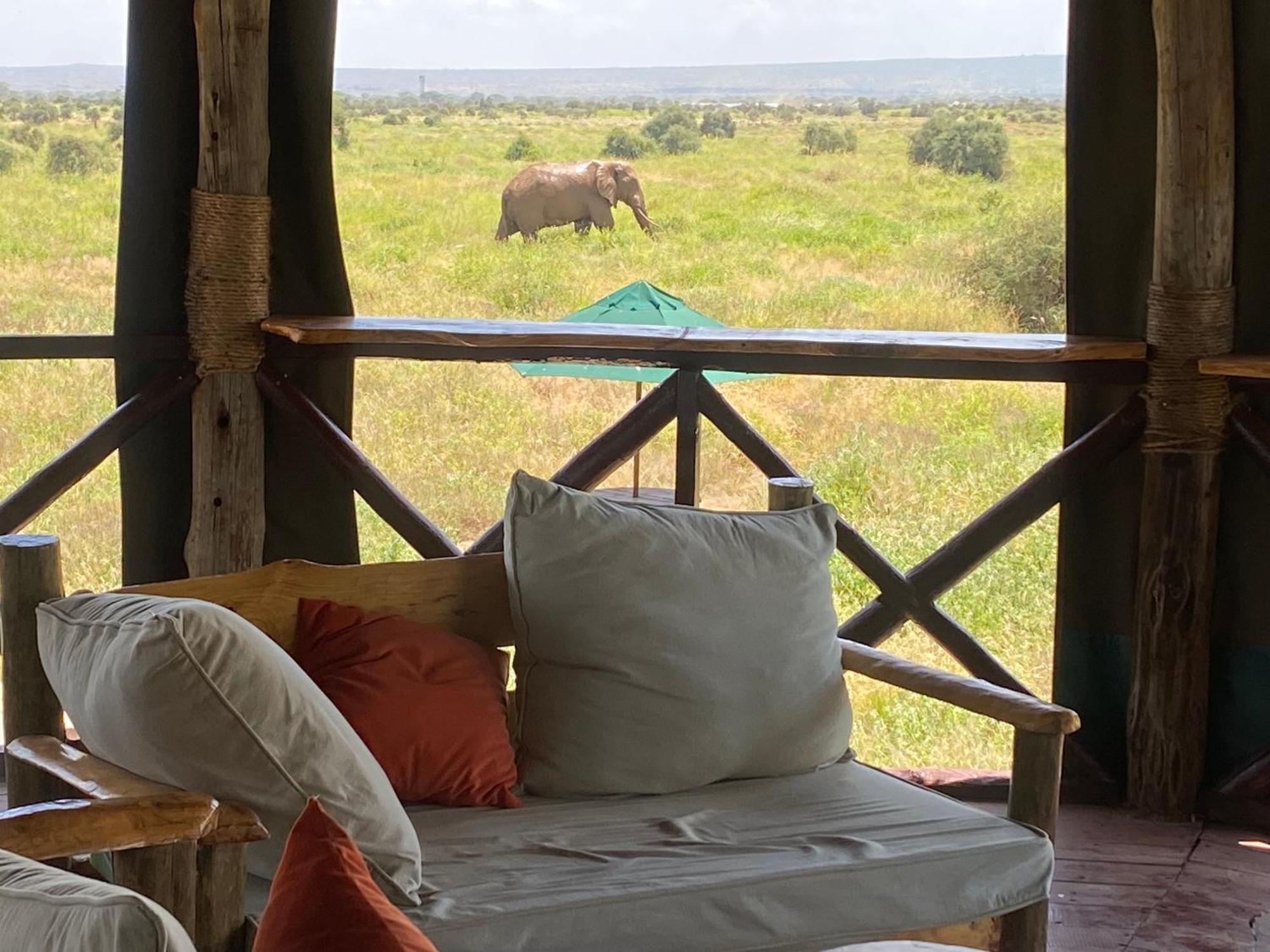 Discovery Camp Luxury tent *